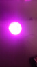 【新人专享1分】爆款北极光投影灯台灯星空灯卧室浪漫情调房间极光氛围暖光灯睡眠礼物卧室投影灯 【新人专享1分】极光16色氛围灯（基础非遥控款） 实拍图