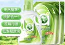 威露士清可新洗衣液松木香4斤组合装（瓶1L+袋装500ml*2）除菌除螨留香 实拍图