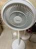 美的（Midea）【暴风循环】空气循环扇大风量摇头电风扇家用台式落地扇轻音卧室节能小风扇柔风轻羽扇 FGA24TQ 实拍图