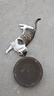 【京东物流】猫抓板磨爪猫窝一体耐磨不掉屑超大号猫玩具猫咪用品 圆形小号+猫薄荷 实拍图