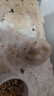 布卡星仓鼠星河浴沙2.5kg洗澡沙祛味沐浴盐浴室盆小仓鼠用品 实拍图