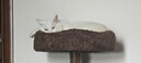 兽牌云端实木猫爬架小户型猫架带窝猫咪抓柱猫架子猫树猫窝猫抓板一体 小树屋【实木柱+大窝】 实拍图
