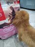 Orijen渴望狗粮 小型犬全期全价小颗粒鸡肉进口犬粮4.5kg效期27/4 实拍图