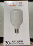 佛山照明大功率LED灯泡30W节能灯具E27螺口6500K白光柱形 实拍图