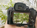 佳能（Canon）佳能R10 18-150 入门级微单相机 eos r10半画幅 Vlog拍摄 4K高清视频 学生旅行家用 拍摄必备套装  实拍图