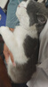京东京造全价6种鱼鲜肉猫粮2kg成猫幼猫鱼油美毛长肉护肤三文鱼 实拍图