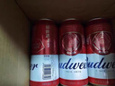 百威啤酒TOP淡色拉格450ml*18听整箱装京东自营新老包装混发踏春送礼 实拍图