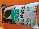 漫生活进口营养土3L通用有机种菜土养花土园艺绿植花卉绿萝盆栽基质土壤 实拍图