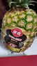 佳农 黑钻菠萝1粒装 菲律宾凤梨 净重2斤起 生鲜水果 源头直发 包邮 实拍图