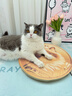 HELLOJOY猫抓板贴墙立式墙贴瓦楞纸耐抓耐磨不掉屑防猫抓垫沙发保护磨爪贴 实拍图