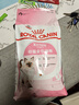 皇家幼猫猫粮 幼猫奶糕 K36 通用粮 4-12月 2KG 实拍图