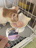 阿飞和巴弟猫条猫零食猫罐头冻干试吃礼包4件装【迪士尼疯狂动物城】 实拍图