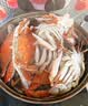 【冷冻】至鲜梭子蟹2.6斤/6-8只整只当季液氮冷冻3-5两/只吕四黄海海鲜螃蟹新鲜 实拍图