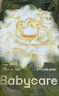 babycare金山茶花纸尿裤S58片(4-8kg)新生儿婴儿尿不湿超薄透气轻柔花苞裤 实拍图