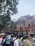 恒源祥纯棉被套单件学生宿舍隔脏被罩单人四季被子套150*200cm 实拍图