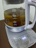 九阳（Joyoung）【价保618】1.5L全玻璃沸萃养生壶煮茶器 0胶水玻璃滤网炖盅 花茶壶烧水恒温电热水壶15WY10J 实拍图