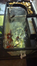 备能电解生物酶鱼缸净水剂水质净化剂清澈剂水族养鱼用清洁神器600ml 实拍图