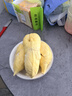 三资堂睫毛膏自然卷翘纤长定型钢管睫毛打底膏小蛮腰持妆防水增长睫毛刷 实拍图