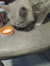 普安特宠物狗狗猫咪猫多维复合维生素片狗狗皮肤病猫藓掉毛金维葆 实拍图
