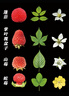 Sweet Color甲油胶卸甲包一盒10片新款快卸美甲修甲卸甲棉片送女友健康礼物 实拍图
