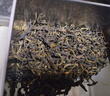 三隐茶叶 红茶云南凤庆古树滇红功夫红茶新茶蜜香型简装500g 实拍图