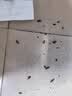 ZYUO日本驱虫药除虫小飞虫爬虫克星神器灭蟑螂全窝端杀虫剂室内家用 品质保障 实拍图