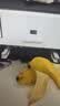 惠普彩色激光打印机复印扫描一体机1025NW手机无线小型家用办公A4 hp1025彩色激光 实拍图