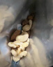 三只松鼠高端铂萃每日坚果纯坚果750g/30袋 零食礼包开心果 团购母亲节 实拍图