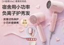 松下（Panasonic）【价保618】吹风机家用女生便携速干降噪负离子护发送女生生日礼物吹风筒新月粉EH-NE4G 实拍图
