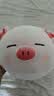 名创优品（MINISO）小猪B-BO弹力超柔趴姿公仔毛绒玩具玩偶抱枕靠枕娃娃生日礼物女 实拍图