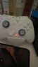 飞智冰原狼4多模版无线游戏手柄 类xbox 力调节摇杆双切扳机 switch电脑PC手机steam体感NS 仁王3 实拍图