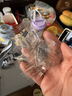 三只松鼠陈皮梅有葡萄100g*3袋酸甜果脯蜜饯葡萄夹心开胃果干休闲零食 实拍图