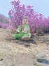 好奇（Huggies）铂金装小桃裤成长裤L120片(9-14kg)大号尿不湿拉拉裤【透爽散热】 实拍图
