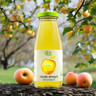 绿杰发酵型苹果醋饮料260ml*15玻璃瓶装0蔗糖0脂肪酸甜爽口解腻饮料 实拍图