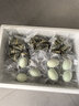 美的（Midea）封口机真空压缩封口机真空封口机真空密封机家用真空包装机干湿两用封口机 小型全自动 MJ-KF11 实拍图