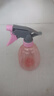 喷壶浇花浇水喷雾器气压式喷水壶家用园艺养花500ml 南瓜喷壶透蓝【2个装】 实拍图