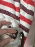 胖猫宠物超声波洁牙器大小型狗狗爱犬猫牙结石去除器牙垢神器家用动物刮除牙渍异味电动牙缝工具机仪器 豪华黑丨4个头+保护罩+墙架+口镜+小工具 实拍图