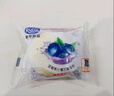 港荣蒸蛋糕蓝莓800g纯蛋糕小面包零食早餐中西式糕点心甜品礼品盒物箱 实拍图