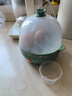 九阳（Joyoung）煮蛋器多功能智能蒸蛋器7个蛋量 ZD7-GE130（飞泉绿） 实拍图