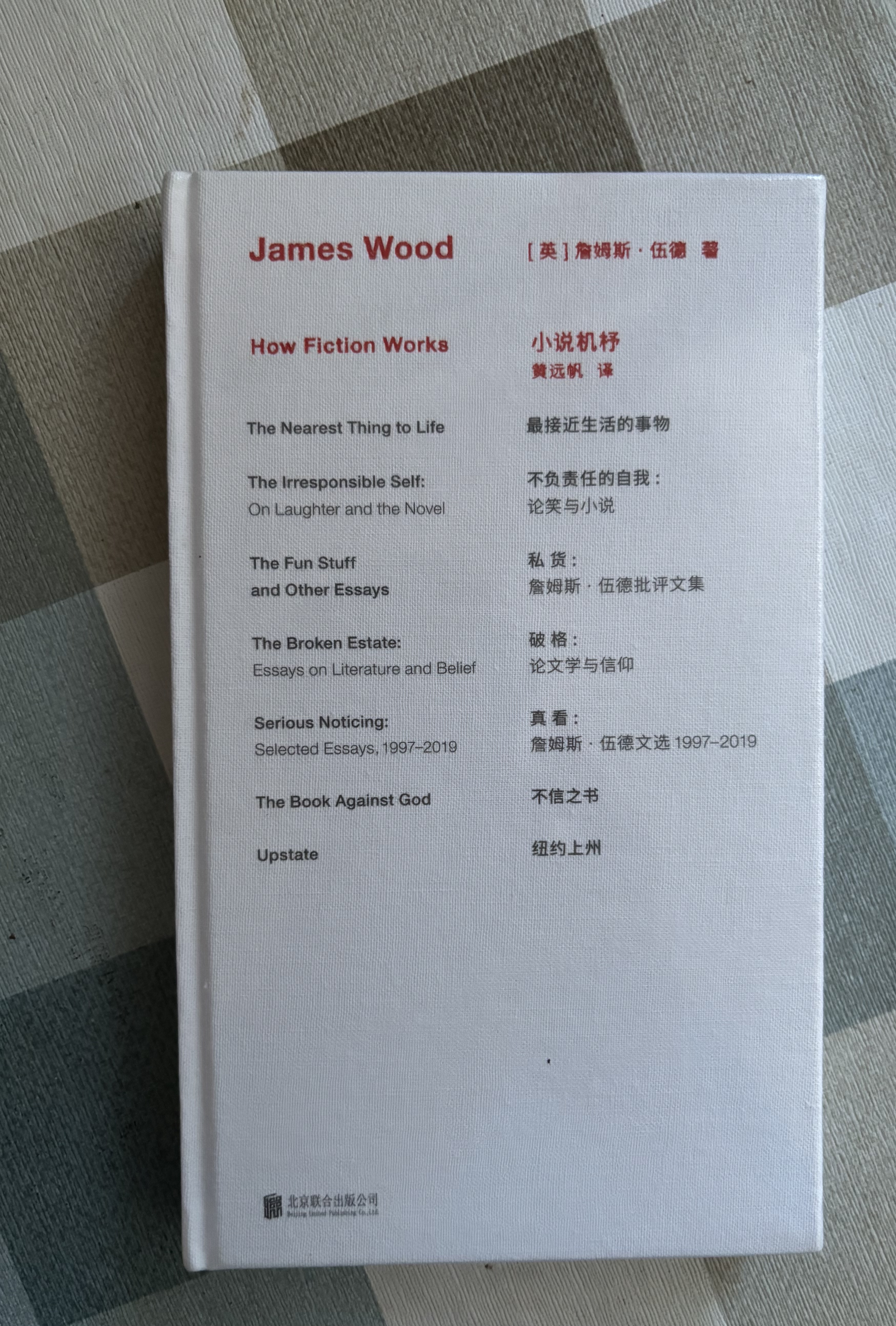 詹姆斯·伍德系列：小说机杼 文学阅读入门书 揭秘现代小说运作规律 文学理论小说评论畅销书籍 实拍图