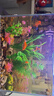 萌嘟星宠仿真水草鱼缸造景套装水族箱布景装饰摆件假植塑料假水草 11件套 实拍图
