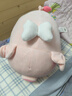 名创优品（MINISO）小猪B-BO翅膀款趴毛绒公仔玩具玩偶抱枕娃娃靠枕生日礼物女 实拍图