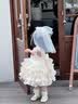 G.duck小黄鸭女童连衣裙夏季2026新款儿童裙子女宝宝生日抓周岁礼公主裙 香槟色 90 cm 实拍图