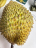 福东海 野生桑葚干300克 无沙黑桑椹子即食零食精选2cm以上泡水酒养生茶 实拍图