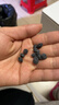 神农金康 黄芪党参麦冬当归黑豆500g【升级版】 搭元气四宝茶即食古法熬制 实拍图