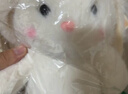 名创优品（MINISO）塔尼兔系列趴姿公仔毛绒玩具玩偶兔子娃娃抱枕生日礼物儿童节礼物 实拍图