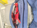 JEANSWEST LIFE真维斯休闲短裤男夏季男款纯棉运动篮球中裤男士灰色直筒五分裤 实拍图