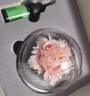 非遗手工陶瓷牡丹永生花礼盒摆件生日礼物送闺蜜朋友老婆妈妈礼物 陶瓷牡丹-国色天香 实拍图