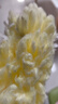 美丽雅密实袋静电除尘掸一次性家用鸡毛掸除尘清洁打扫卫生神器 实拍图