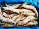 鲜京采野生海捕对虾 净重3斤/盒 30-45只/盒 实拍图